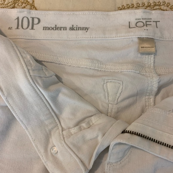 CLASSIC 5 POCKET CORDS - Picture 3 of 5